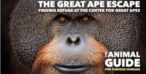 North American Primate Sanctuary Alliance