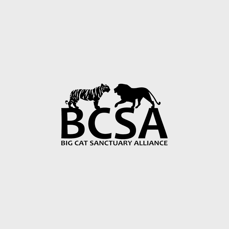 Big Cat Sanctuary Alliance Logo with Grey Background