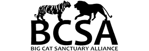 Big Cat Sanctuary Alliance Logo