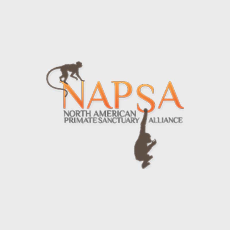 North American Primate Sanctuary Alliance NAPSA