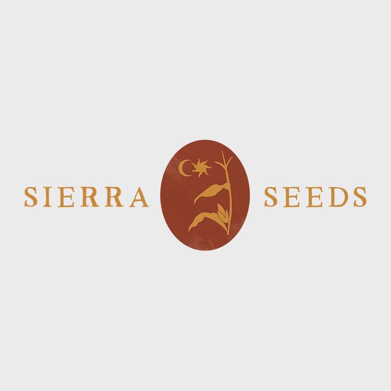 Sierra Seeds