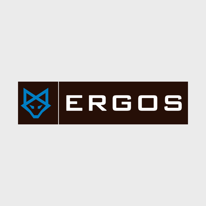 ERGOS Consulting